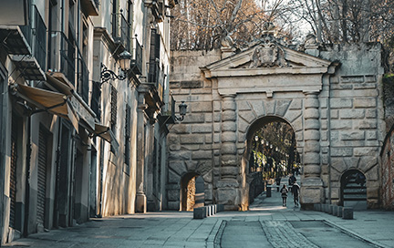 CITY TOURS